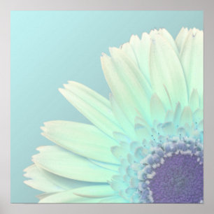 Póster Gerbera Daisy