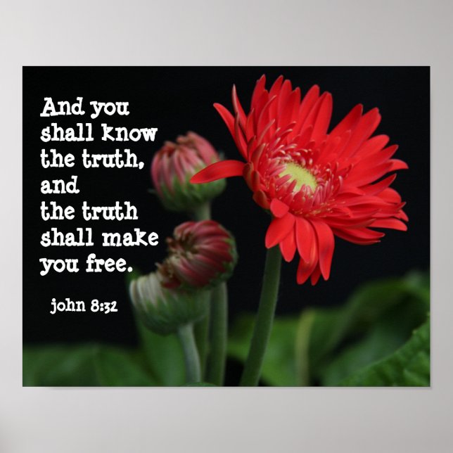 Póster Gerbera Daisy con Scripture Verse (john 8:32) (Frente)