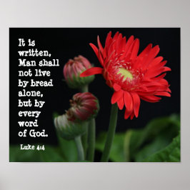 Póster Gerbera Daisy con Scripture Verse (Lucas 4:4)