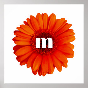 Póster Gerbera Daisy Monograma Inicial