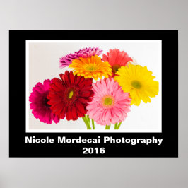 Póster Gerbera Daisy Poster