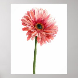 Póster Gerbera de Margarita Rosa Acuarela Amante de la Na