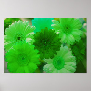 Póster Gerbera verde Daisy Flowe Wall Art Poster de impre
