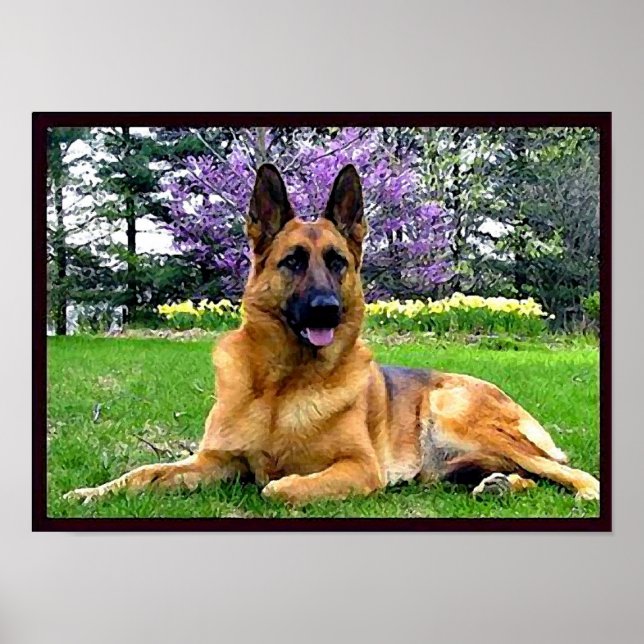Póster German-Shepherd (Frente)
