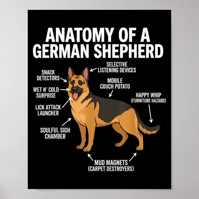 Póster German Shepherd  (Frente)
