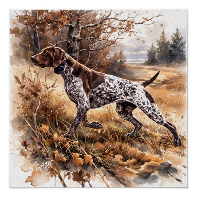Póster  German Shorthaired Pointer  (Anverso)