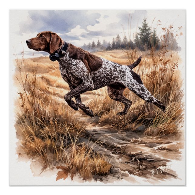 Póster  German Shorthaired Pointer  (Anverso)