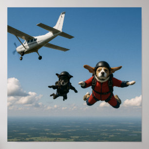 Póster "Geronimo"