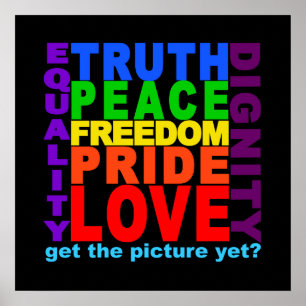 Póster Get The Picture? poster