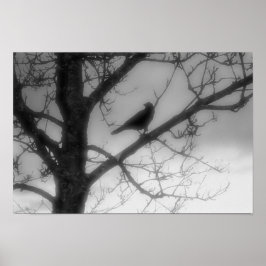 Póster Ghost Raven Poster