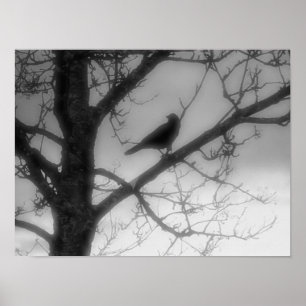 Póster Ghost Raven Poster