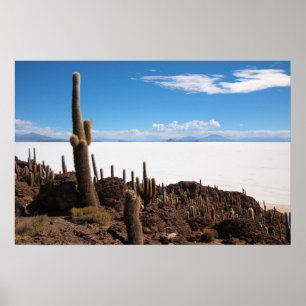 Póster Giant cactus at the Salar de Uyuni poster print