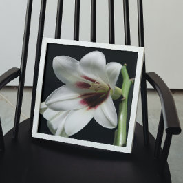 Póster Giant Himalayan Lily Photo Glossy