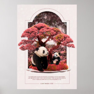 Póster Giant Panda