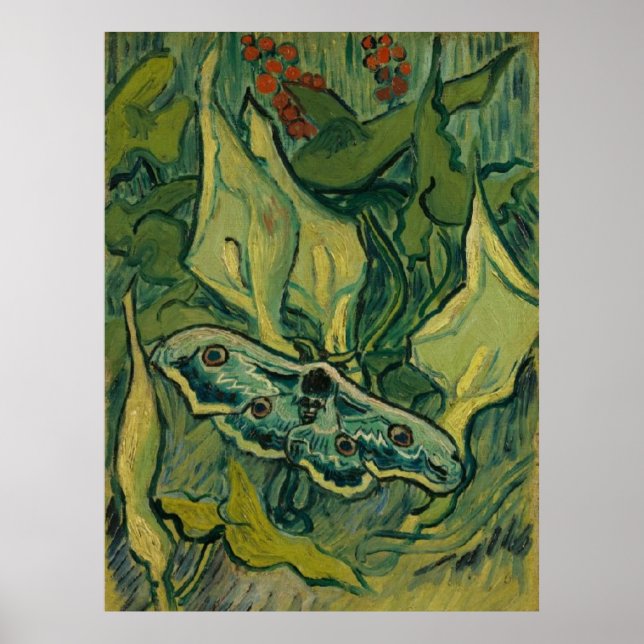 Póster Giant Peacock Moth Vincent van Gogh 1889 (Frente)