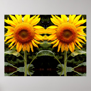 Póster Giant Sunflowers, yellow floral 