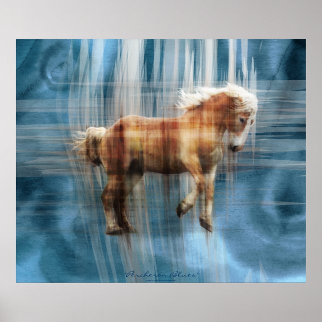 Póster Gigante belga de equino de caballo (Frente)