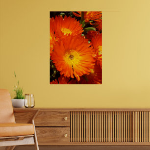 Póster Gigante Naranja Daisies,
