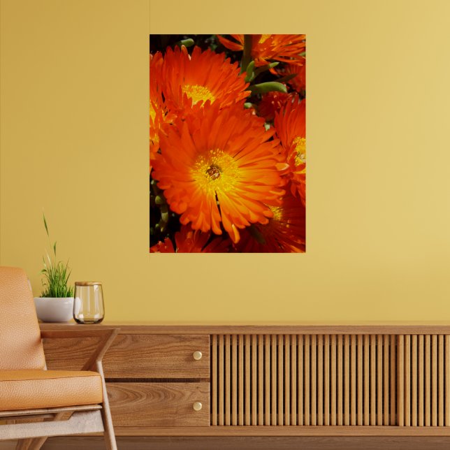 Póster Gigante Naranja Daisies, (Salón 2)