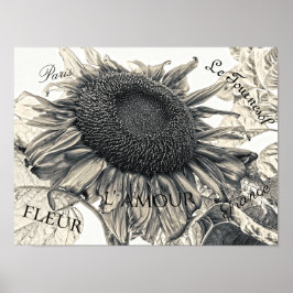 Póster Gigante Sunflowers Vintage Sepia Decoupage Ephemer