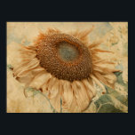 Póster Gigantes girasoles Amarillo Viejo Vintage Art Deco<br><div class="desc">Flores de sol gigantes de estilo rústico pintado de color amarillo verde decorativo con cuadros de pared florales. Papel poster de textura de estilo antiguo. Campo rústico de campo de verano de campos de girasol diseño impreso. Colores silenciados en esta textura de color. Moda, genial, de moda. Este papel es...</div>