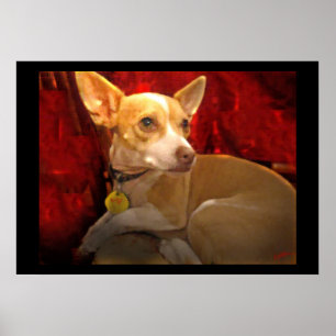 Póster GiGi