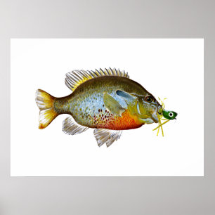 Póster Gill azul - Semilla de calabaza