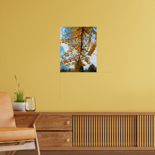 Póster Ginkgo amarillo deja fotografía