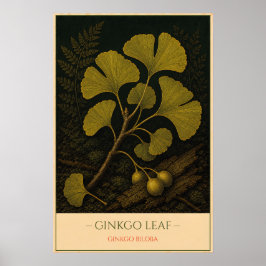 Póster Ginkgo Leaf – Vintage Botanical Illustration