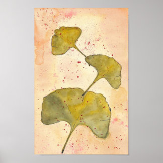 Póster Ginkgo Leaves