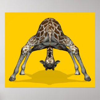 Póster Girafa Gimnástica