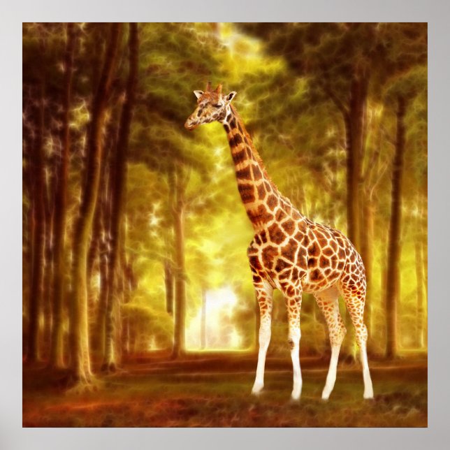 Póster Giraffe (Frente)