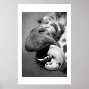 Póster Giraffe#1