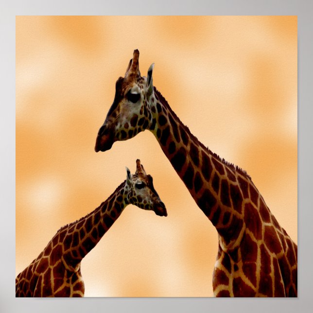 Póster Giraffe doble problema, (Frente)