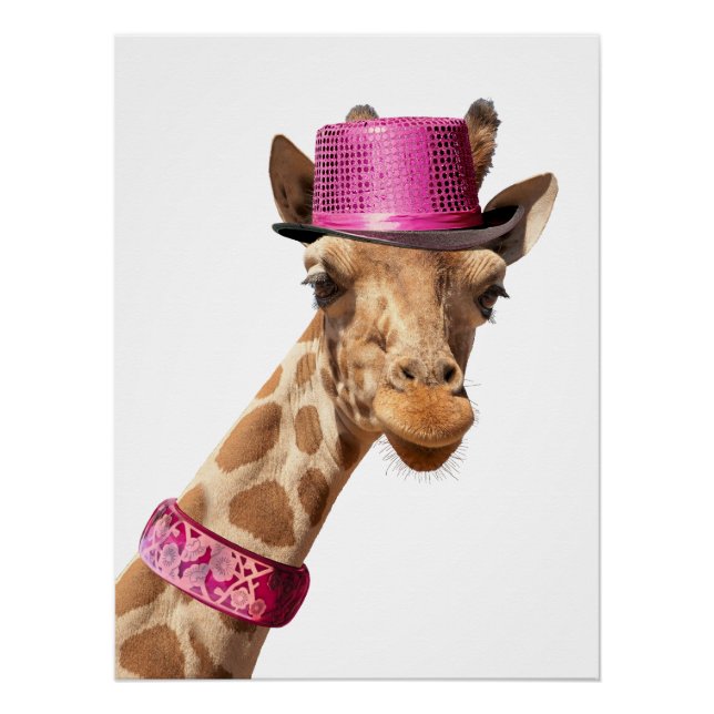 Póster Giraffe en gorra rosa brillante (Anverso)
