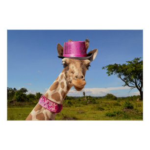 Póster Giraffe en gorra rosa brillante