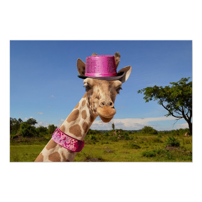 Póster Giraffe en gorra rosa brillante (Anverso)