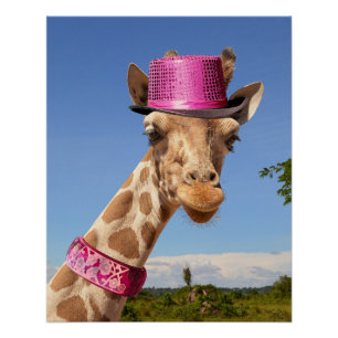 Póster Giraffe en gorra rosa brillante