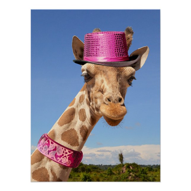 Póster Giraffe en gorra rosa brillante (Anverso)