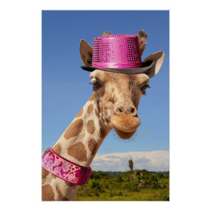Póster Giraffe en gorra rosa brillante