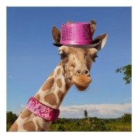 Giraffe en gorra rosa brillante