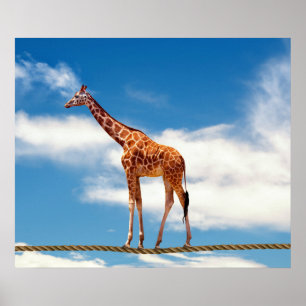 Póster Giraffe en la pared