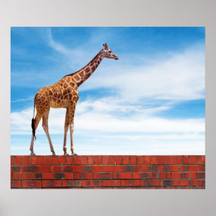 Póster Giraffe en la pared