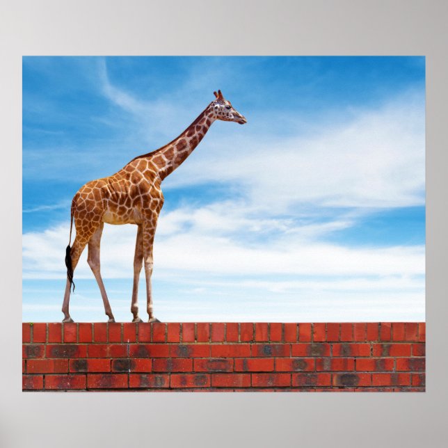 Póster Giraffe en la pared (Frente)