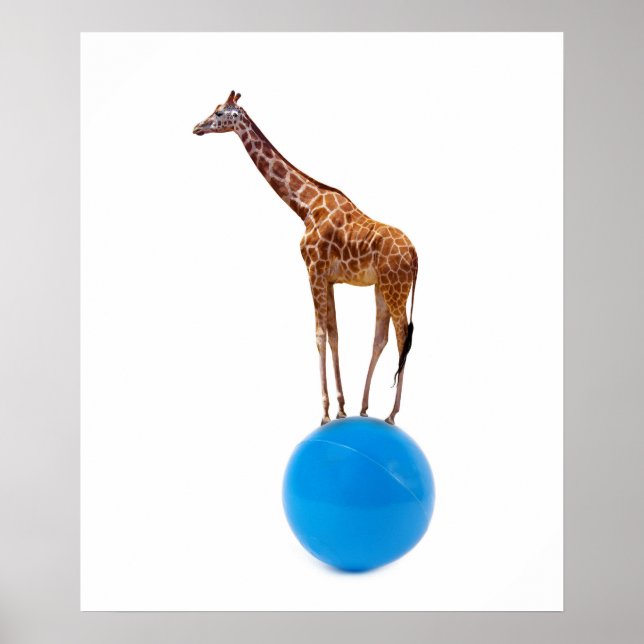 Póster Giraffe en la pelota (Frente)