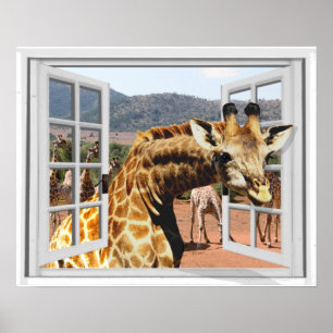 Póster Giraffe en ventana falsa vista efecto Trompe l'oei