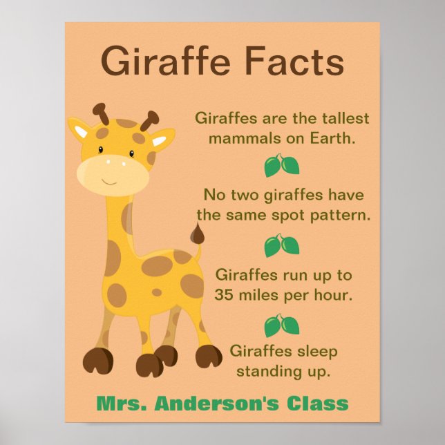 Póster Giraffe Facts Classroom (Frente)