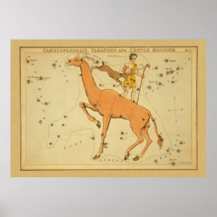 Póster Giraffe - Imagen de una estrella astronómica vinta