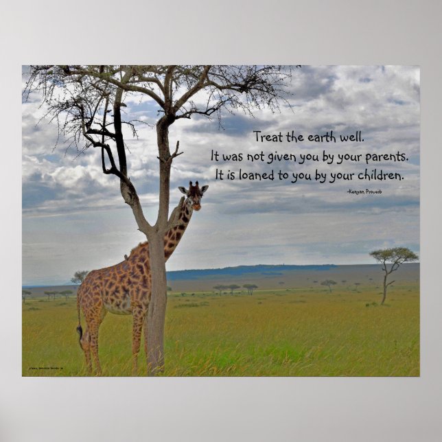 Póster Giraffe Masai Mara, proverbio keniano (Frente)