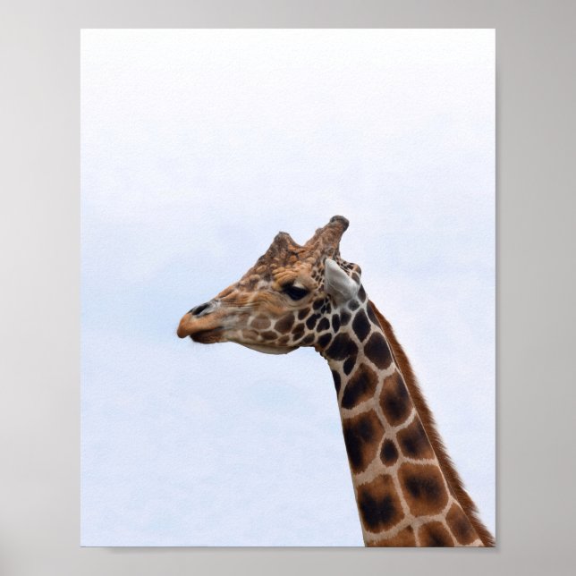 Póster Giraffe Portrait Photo 106 (Frente)
